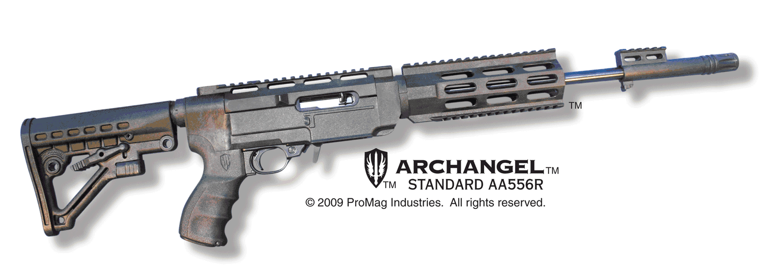 Archangel Rifle (10-22*) (ARS) Package